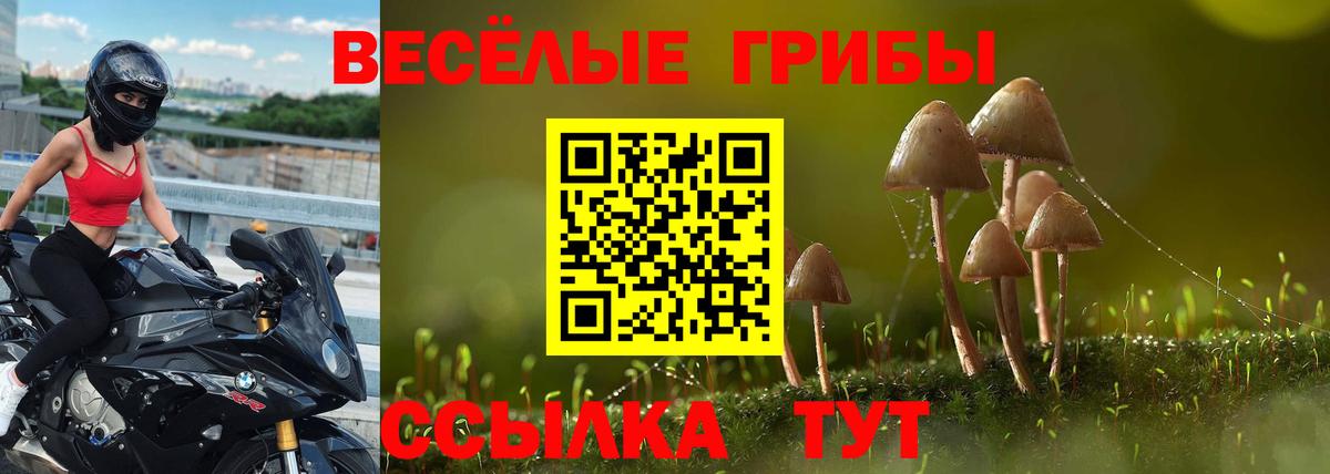 Галлюциногенные грибы GOLDEN TEACHER Кыштым